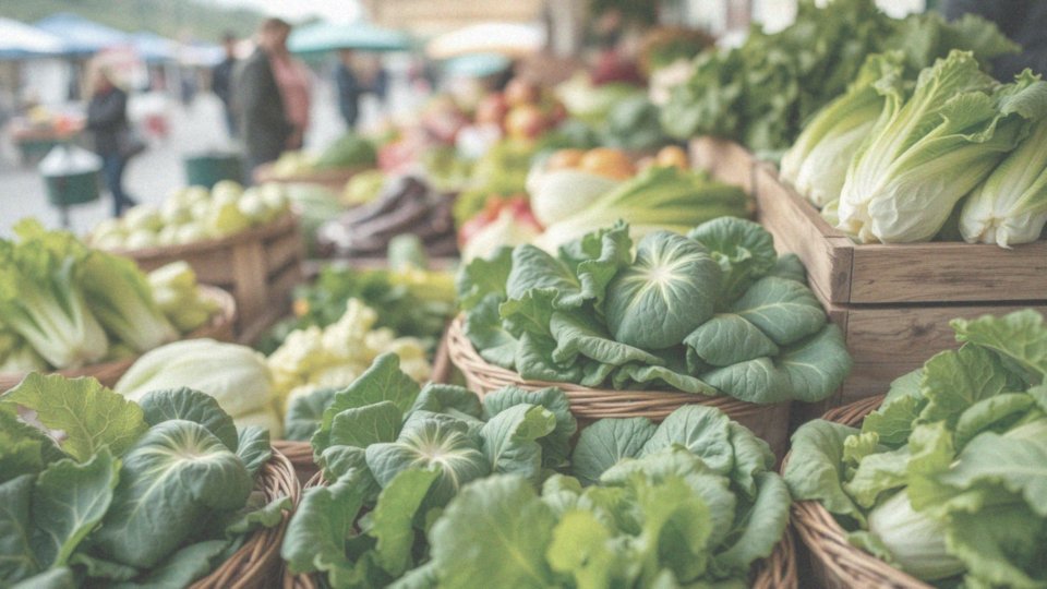 Jak sałata wpływa na dietę i zdrowie?