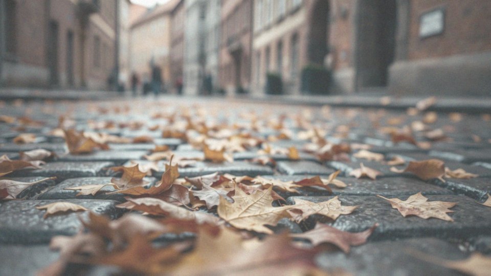 Jak stres oksydacyjny wpływa na kondycję włosów?