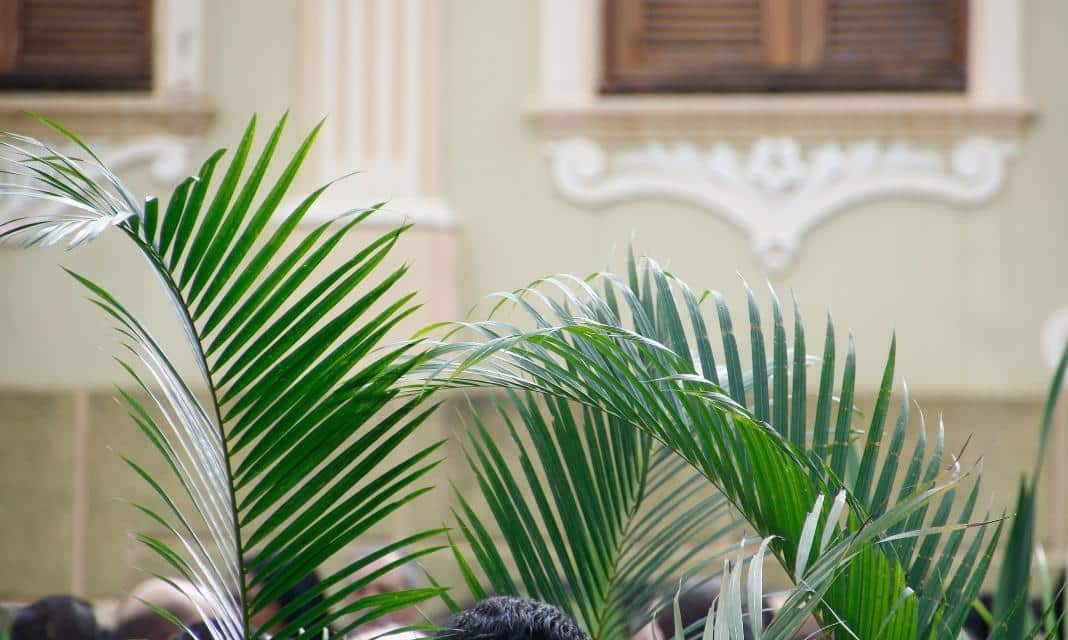 Niedziela Palmowa w Świnoujściu: Tradycje i zwyczaje